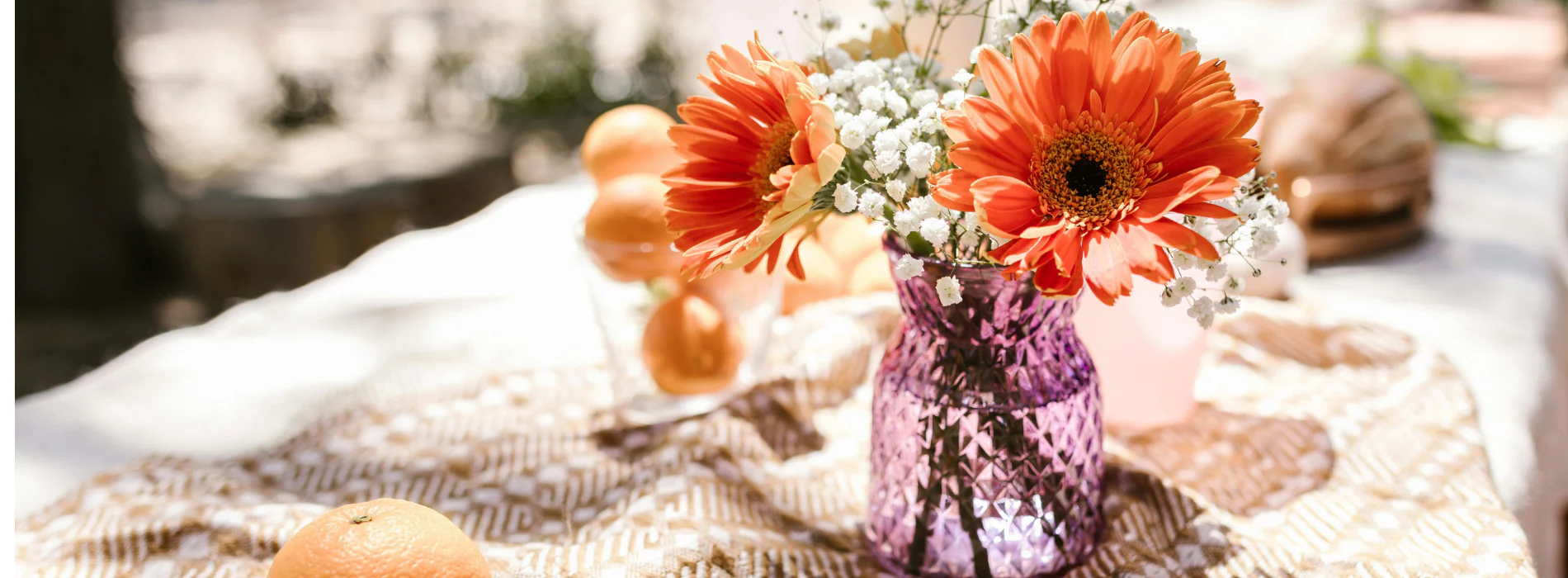 1774515609829569.jpg Sans_titre_1900_x_1000_px_1.jpg